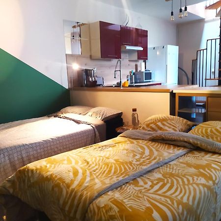 Spacieux Appartement Au Calme 15Min Sud De Lyon Proche Metro Et Gare Confluence Aquarium Gerland Oullins Exterior foto